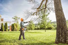 Best Hedge Trimming  in Tiffin, OH